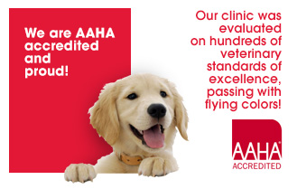 AAHA accredited