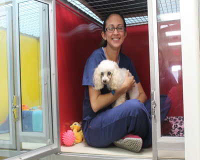 Miami Veterinary | Miami Our Vacation Guests | FL | <p>Trail Animal Hospital</p> |