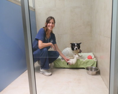 Miami Veterinary | Miami Our Vacation Guests | FL | <p>Trail Animal Hospital</p> |